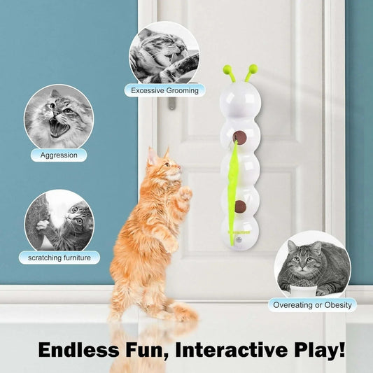 8 Simple Ways to Entertain and Engage Your Cat Daily
