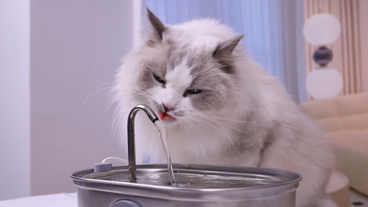 Stainless steel cat water fountain - Real photos of cats drinking water