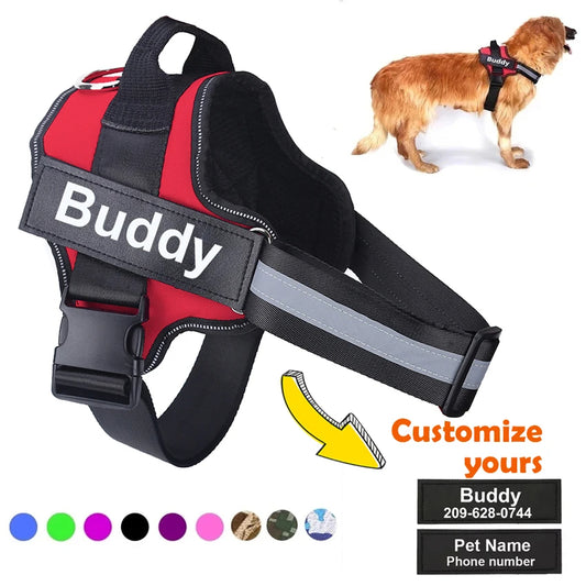 Personalized No Pull Dog Harness