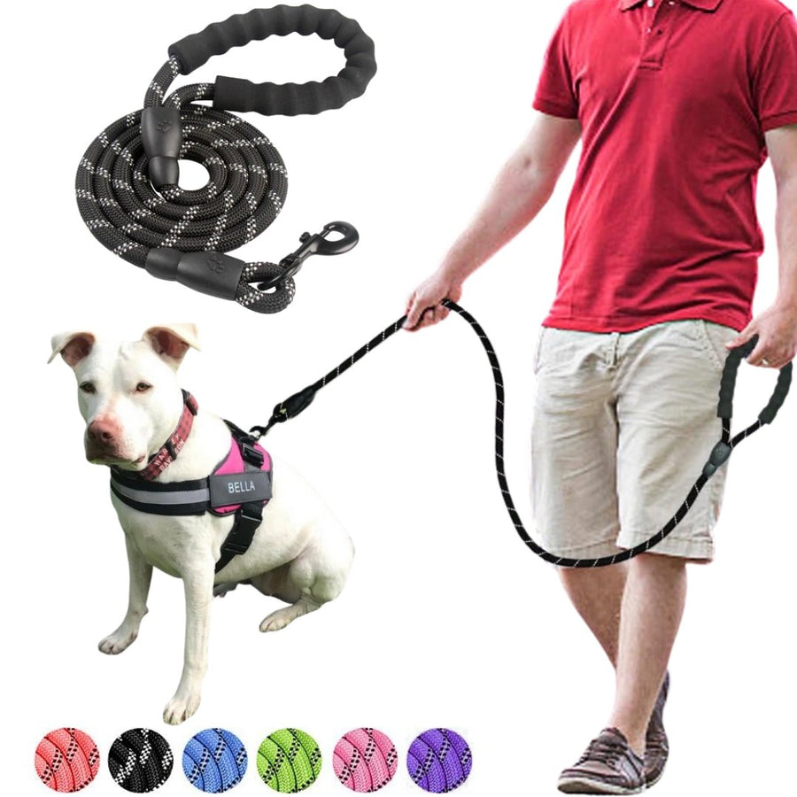 5ft Reflective Dog Leash