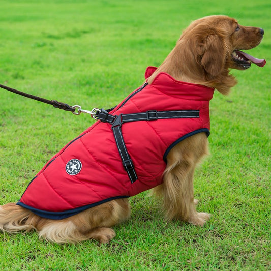 Winter Dog Jacket With Harness