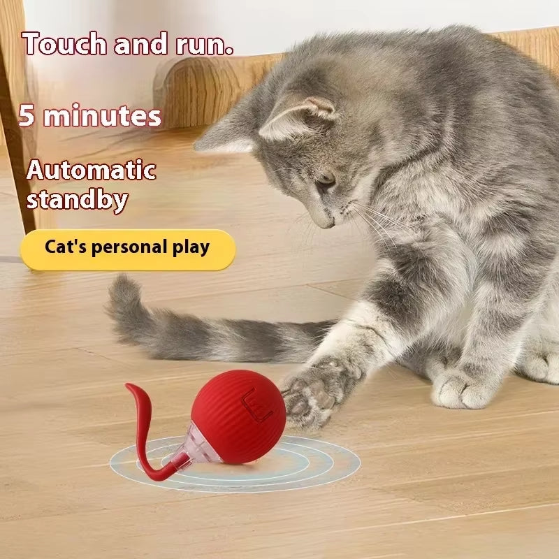 USB Rechargeable Cat Toy Rolling Ball